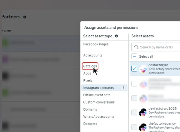 Tipul de activ Catalogs din fereastra Assign assets and permissions