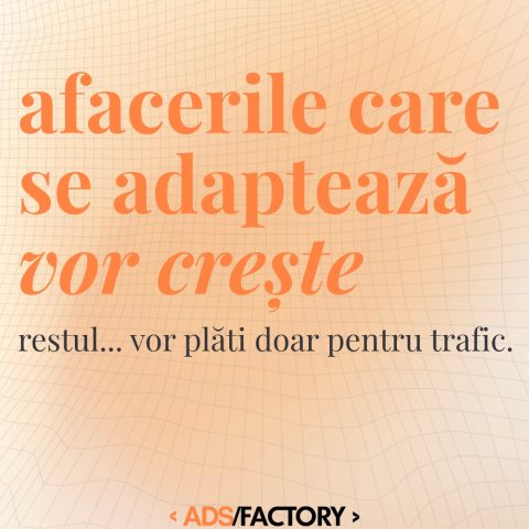 Adaptarea înseamnă să înțelegi ce se schimbă în piață, în comportamentul oamenil